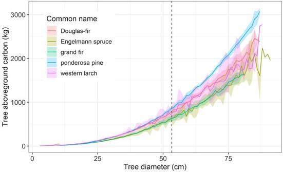 graphique diametre arbres carbone stocke