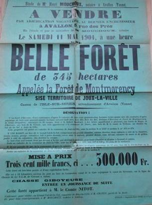 Photo 11 - AFFICHE ORIGINAL VENTE FORET DE MONTMORENCY 1901 JOUX LA VILLE YONNE COMTE NITOT